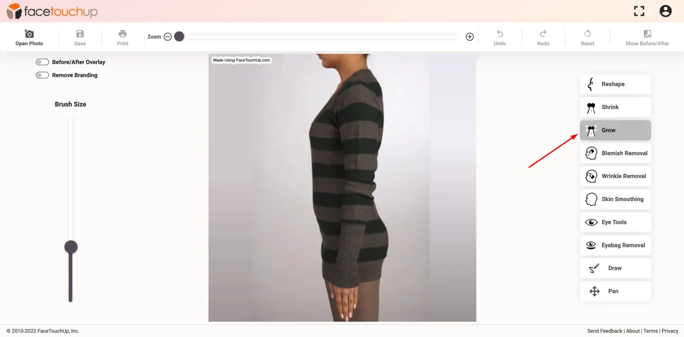 FaceTouchUp breast augmentation simulator - Step 3: Choose the grow tool