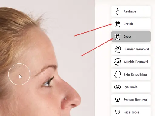 FaceTouchUp shrink and grow tools for body contouring