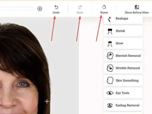 FaceTouchUp undo, redo, and reset controls