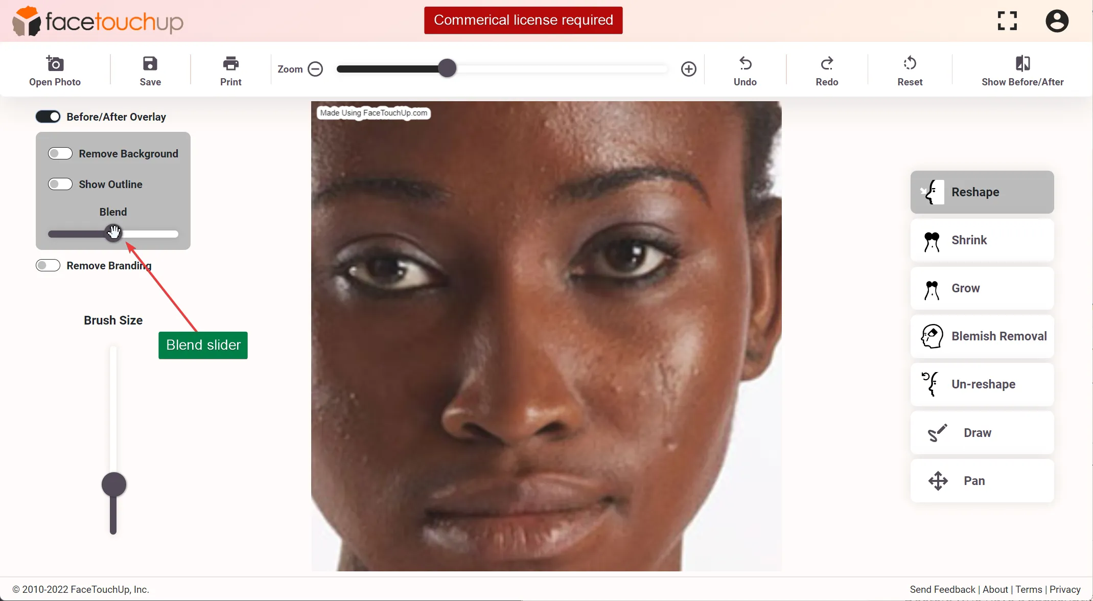 FaceTouchUp rhinoplasty simulator - Step 11: Share or download simulation results